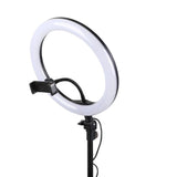 Ring Light Beauty 180cm - Frete Grátis